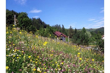 Румъния Privát Vama, Екстериор